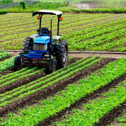 AGRICULTURA, SILVICULTURA, PESCA E VETERINÁRIA